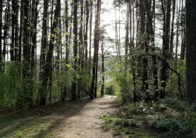 Best hiking trails in Vilnius and how to get there
