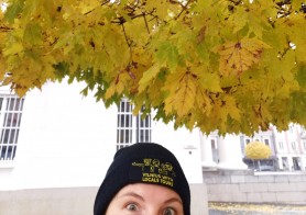 What to do in  Vilnius in October 2025
