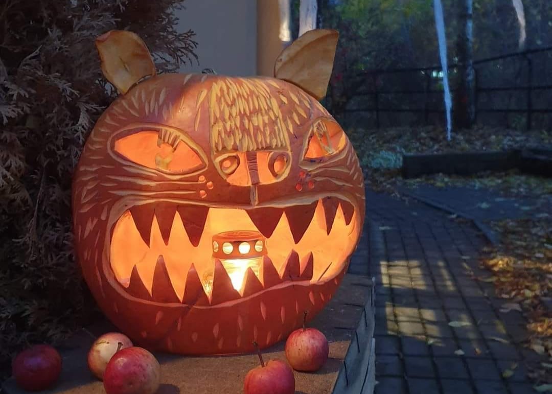 uzupis republic vilnius pumpkin halloween october 31st cat 