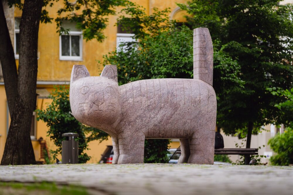 cat statue vilnius things to see